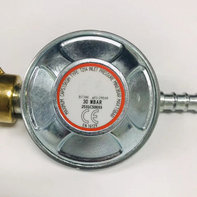 Kundenspezifische Unterstützung 30mbar Gasregulator des französischen Typs für Niederdruck-Hausköcherei